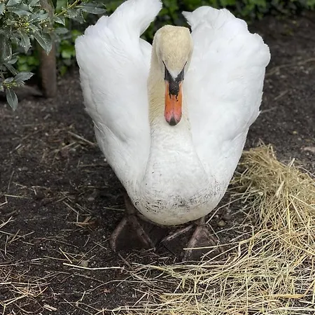 Bed & Breakfast Ostal 158 3*