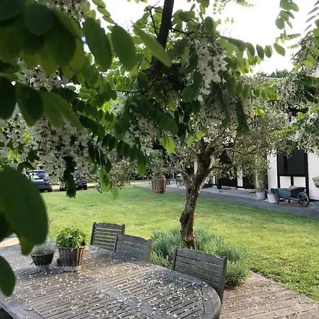 Bed & Breakfast Ostal 158 3*