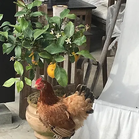 Bed & Breakfast Ostal 158 Le Barp