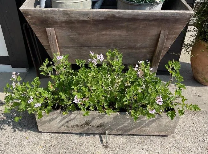 Ostal 158 Bed and breakfast