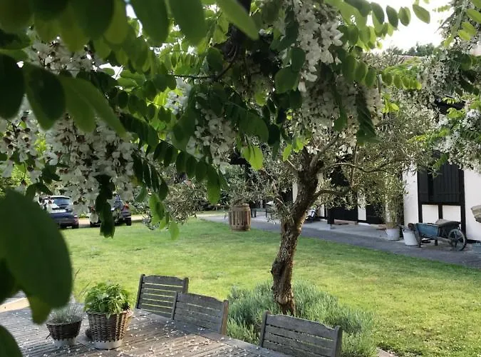 Bed and breakfast Ostal 158 3*