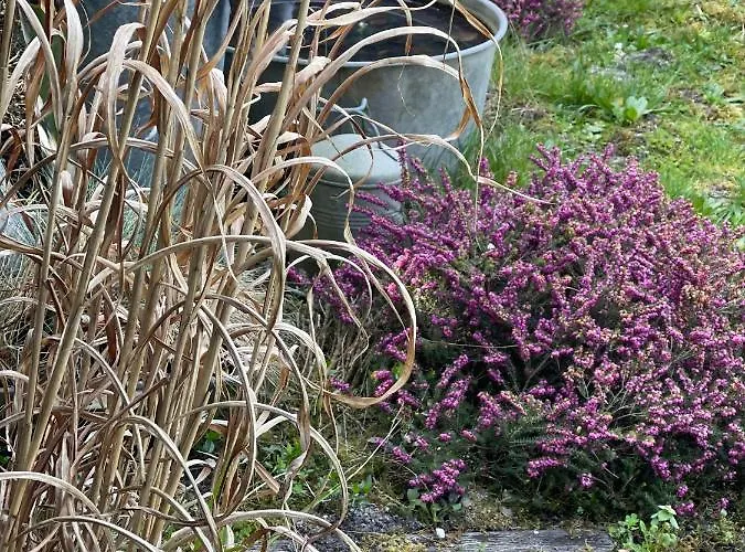 Ostal 158 Bed and breakfast