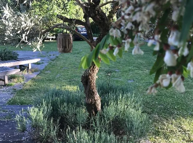 Bed and breakfast Ostal 158 3*